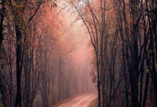 爱游戏体育下载-利雅得胜利vs川崎前锋：C罗领衔，马内、杜兰、奥塔维奥出战，利雅得联队