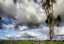 爱游戏体育app-姆班古拉：得知尤文不需要我时感到难过；很欣赏内马尔的球技，姆班吉拉人