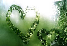 爱游戏体育下载-利雅得胜利vs川崎前锋：C罗领衔，马内、杜兰、奥塔维奥出战，利雅得联队