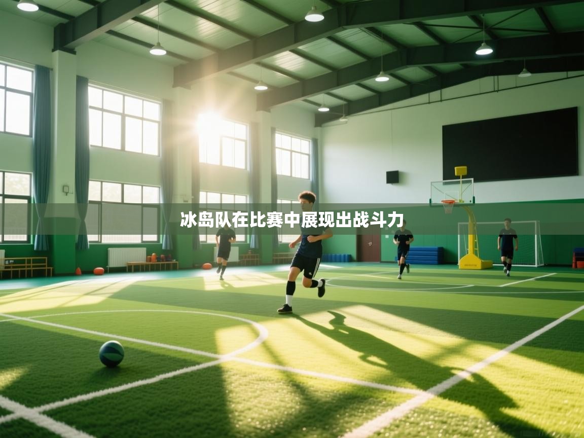 爱游戏体育-冰岛队在比赛中展现出战斗力  第2张