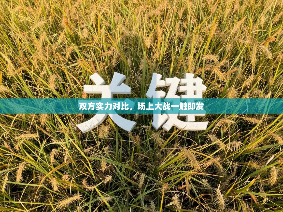 爱游体育直播app-双方实力对比，场上大战一触即发