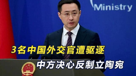 立陶宛对立陶宛：决定出线的关键战役的简单介绍